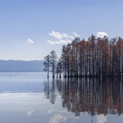 Китай. Cокровища Юньнани — Великий чайный путь поход, изображение 1