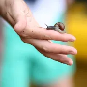 На байдарках по Вуоксе из Лосево поход, изображение 1