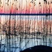На байдарках по Вуоксе из Лосево поход, изображение 2