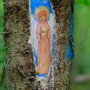 Две усадьбы. Однодневный треккинг в Подмосковье поход, изображение 2