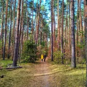 Однодневный поход по заповедному острову в Подмосковье поход, изображение 3