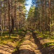 Селигерские просторы. Байдарочный поход с трансфером из Твери поход, изображение 2