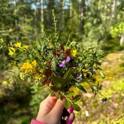По следам Сергия Радонежского поход, изображение 2