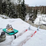 Лыжная прогулка по Линдуловской роще. Однодневный выезд из Петербурга поход, изображение 1